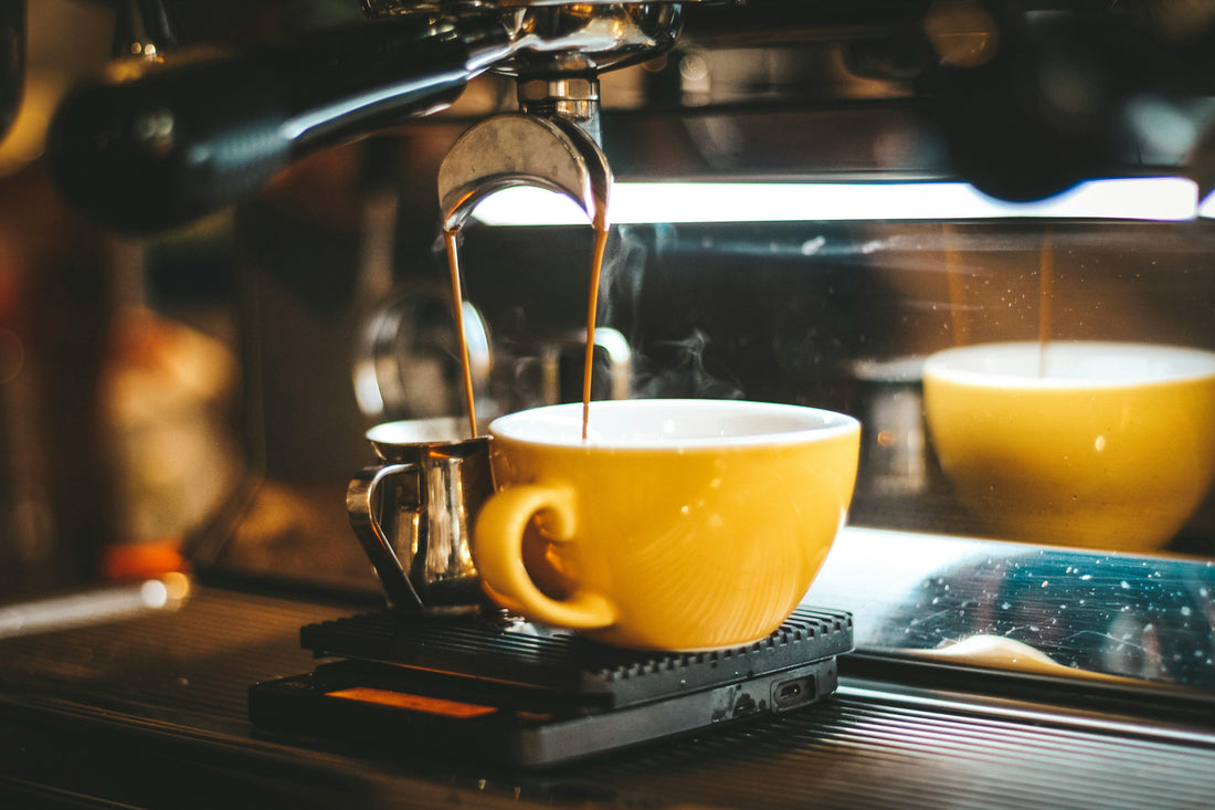 Comparing French Press and Coffee Maker: Which Brews Best? | BaeRoastedCoffee.com