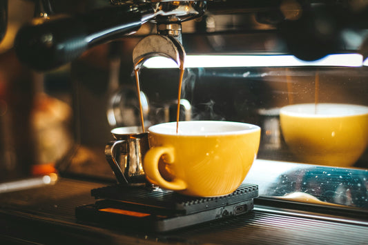 Comparing French Press and Coffee Maker: Which Brews Best? | BaeRoastedCoffee.com